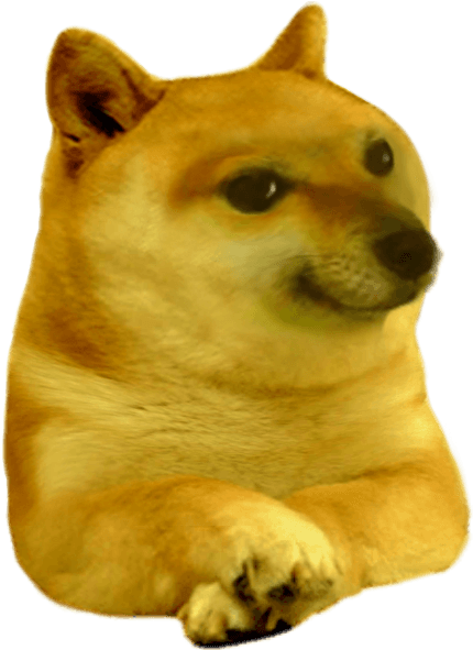 Doge